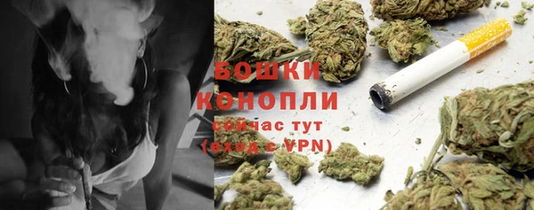 первитин Белокуриха