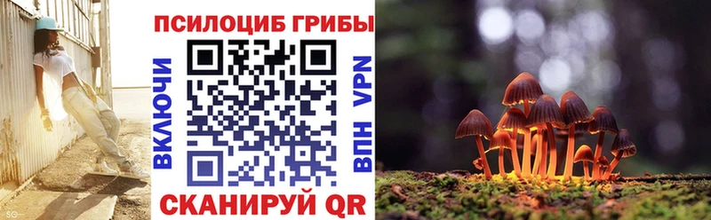 Галлюциногенные грибы Cubensis  Горнозаводск 